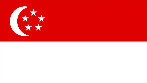 Autem przez świat: Singapur